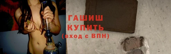 гидра Краснослободск