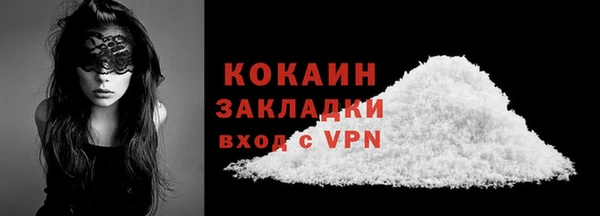 индика Краснослободск