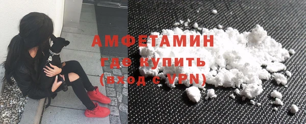 гидра Краснослободск