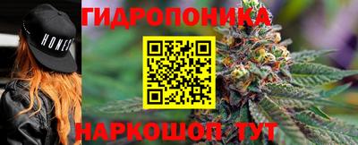 дурь Гусиноозёрск