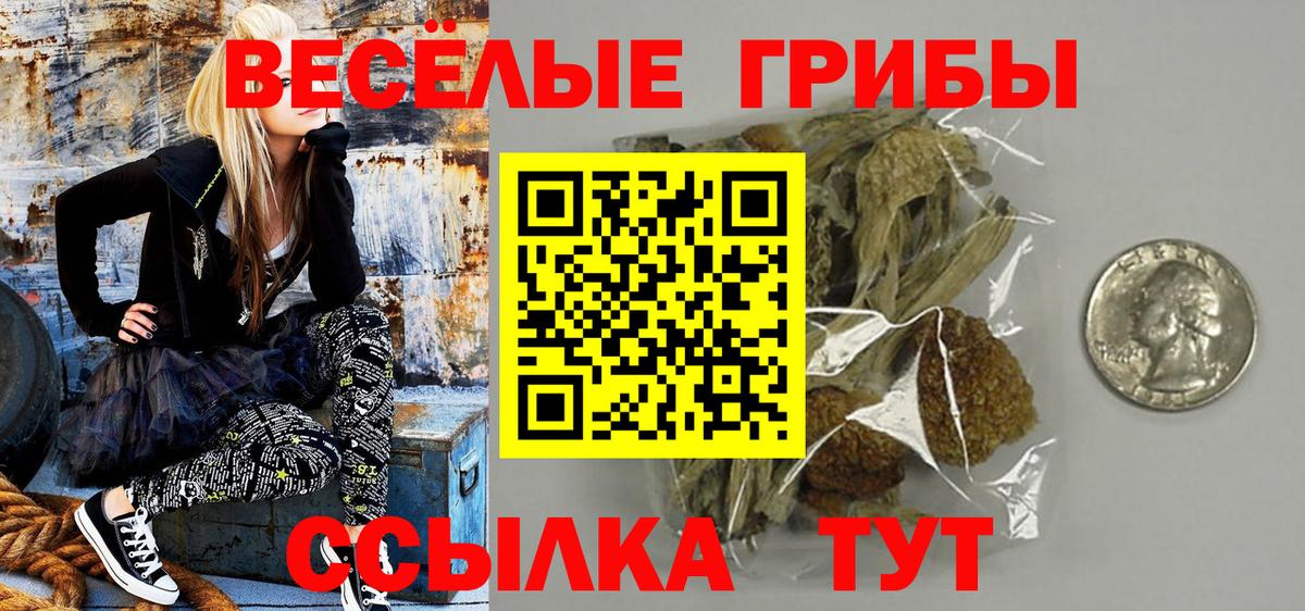 Псилоцибиновые грибы Cubensis  Вход с VPN  Мценск  Псилоцибиновые грибы ЛСД 